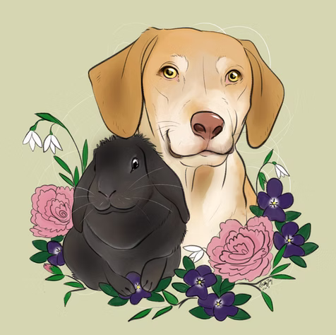 dog and rabbit illustration